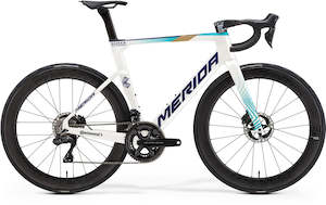 Road Bikes: 2025 REACTO TEAM