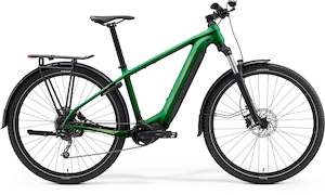 E Bikes: 2025 EBIG NINE 400 EQ