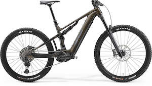 Full Suspension Bikes: 2025 EONE SIXTY 875