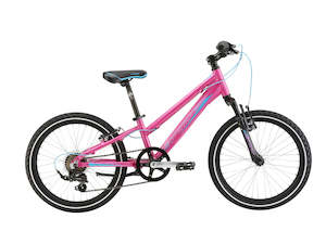 Kids 20 Wheel Geared: 2025 MATTS J20