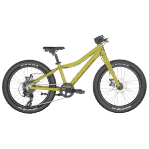 Kids 20 Wheel Geared: SCOTT ROXTER 20"