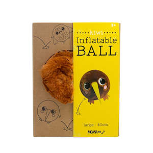 Books: Inflatable Ball with Pump - 40cm