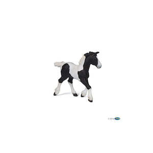 Books: Gypsy Foal- Black and White Piebald