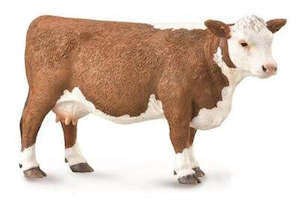 Books: HEREFORD COW