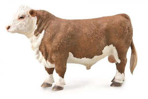 HEREFORD BULL