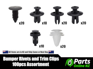 Automotive Bumper Guard Liner Rivets and Trim Clips - 100 Piece Bulk Assortment