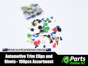 Automotive Trim Clips Rivet Fasteners - 100 Piece Bulk Assortment