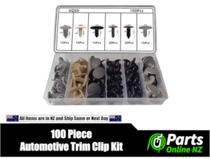 100Pcs Universal Car Roof Trim & Fastener Clip Kit