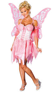 Costume hiring: Sugar Plum Fairy