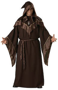 Costume hiring: Mystic Sorcerer Plus Size