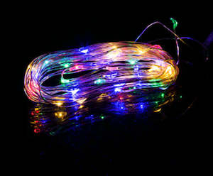 Led Seed Lights 1 Meter Multi-Colour