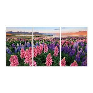 Field of Dreams 3pc Art 1800x900 Perspex Wall Art