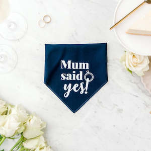 Pawfect Celebrations - Navy Bandana