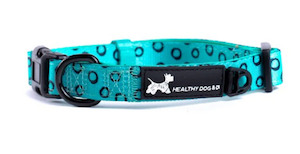 Dog Collar - Sea Breeze Pawfect Limited