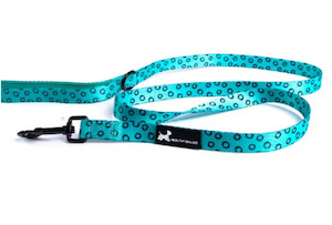 Dog Leash - Sea Breeze Pawfect Limited