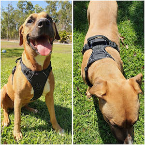 Reflective No Pull Dog Safety Harness