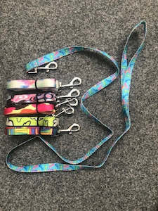 Multi Coloured Pet Lead 1.22cm