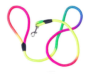 Plastic container, household: Rainbow Nylon Dog Lead 1.5m