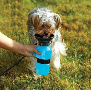 500ml Pet Travel Water Bottle