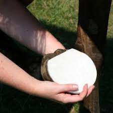 Sporting equipment: Hoof Poultice