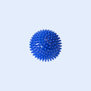 Products: Spiky Ball