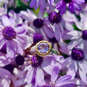 Manuka ring. rose de France amethyst, 24ct gold, silver. Size Q1/2