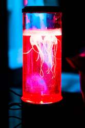 Jelly Fish Lamp