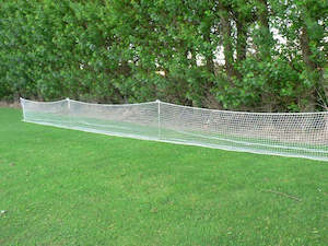 Softball: Boundary Net