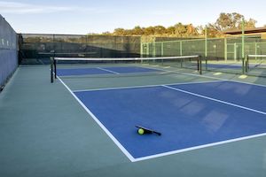 Tennis: Pickleball Nets