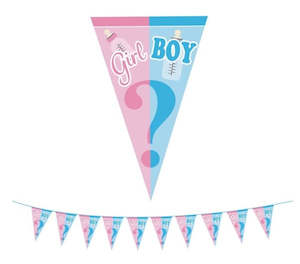 Gender Reveal: Gender reveal banner