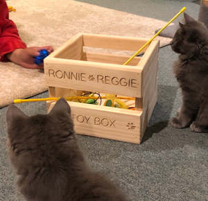 Pet Toy Box