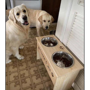 Raised Pet Feeder - 2 Bowls (Medium)