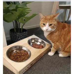 Angled Pet Feeder - 2 Bowls (Medium)