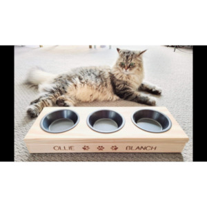 Pet Feeder - 3 Bowls (Small)