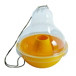 Wasp Dome Trap