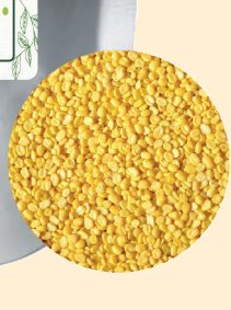 Yellow Split Lentils (Mung Dal) Organic 500g bag