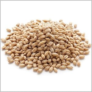 Pearl Barley Hulled Organic 500g bag