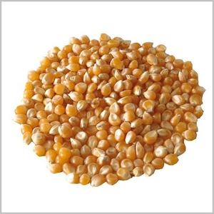 Popping Corn Organic 500g Bag