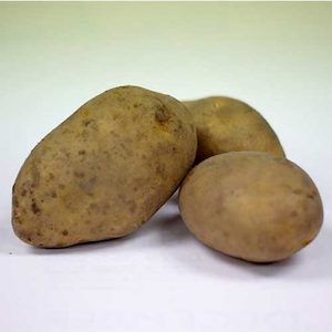 Potatoes Jersey Benne Organic per KG