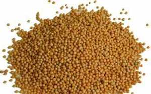 Health food: Yellow Mustard Seed Organic per KG