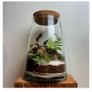 Tropical Terrarium  *Waiheke Island Only*