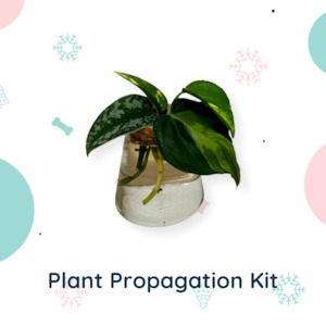 Pet: Grow a Gift - The Propagation Collection