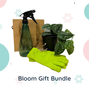 The Bloom Gift Bundle