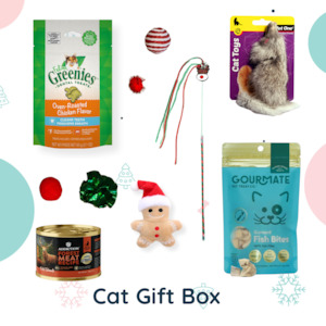 Christmas Cat Gift Box