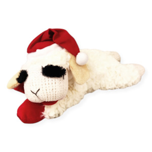 Christmas Lamb Chop