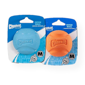 ChuckIt Fetch Ball Medium