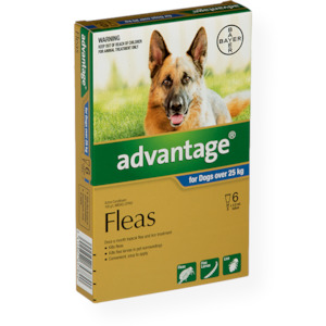 Advantage Spot On Dog Flea Treatment X-Large 6 Pack