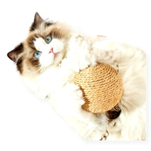 Feline Fine Sisal Ball Cat Toy 10cm