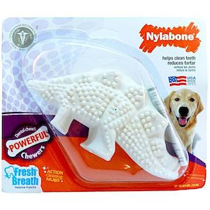 Nylabone Dental Dinosaur Dog Toy