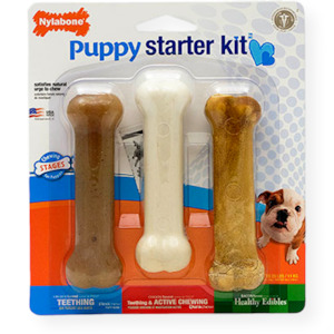 Nylabone Puppy Starter Kit Dog Toy